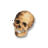 8 cursor