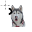 Busy cursor