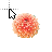 Corral Dahlia cursor