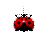 Busy cursor