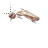phaeton cursor