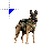 Riley CoDG cursor