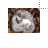 Normal select cursor