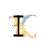 320charizardtxt cursor