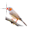 Zebra Finch cursor
