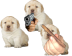 Quieres? Cursors cursor preview