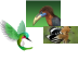 Bird Cursors cursor preview