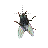 Mouche2 cursor