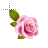 Elegant Rose Cursors preview