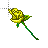 test_roseyellow cursor