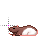 Busy cursor