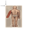 HitLocationLeftArm cursor