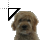 Goldendoodle cursor