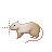 smeezerat_norm cursor