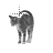 Cat 4 cursor