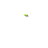 Busy cursor