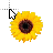 Sunflower cursor
